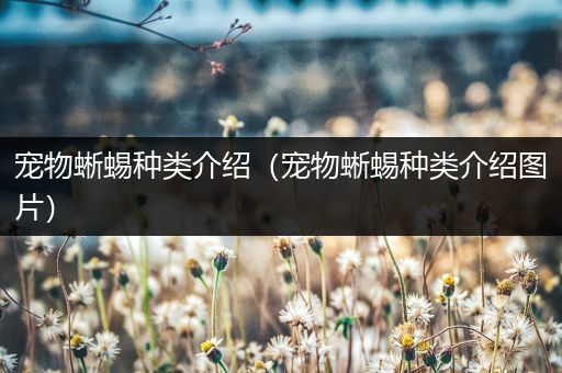 宠物蜥蜴种类介绍（宠物蜥蜴种类介绍图片）