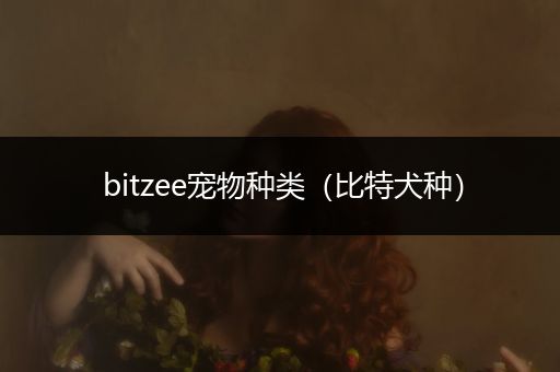 bitzee宠物种类（比特犬种）