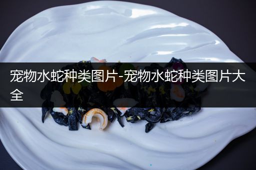 宠物水蛇种类图片-宠物水蛇种类图片大全