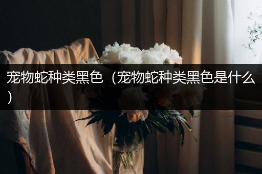 宠物蛇种类黑色（宠物蛇种类黑色是什么）